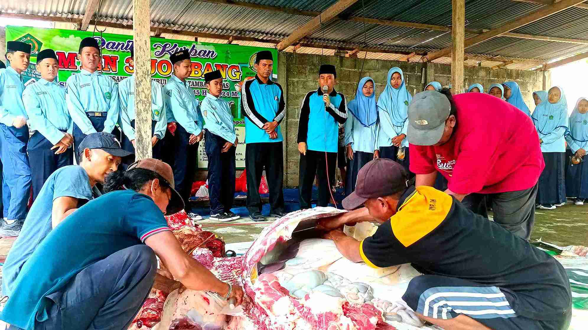 MTsN 3 Jombang PP Bahrul Ulum Sembelih 4 Sapi pada Hari Raya Idul Adha 1445 H